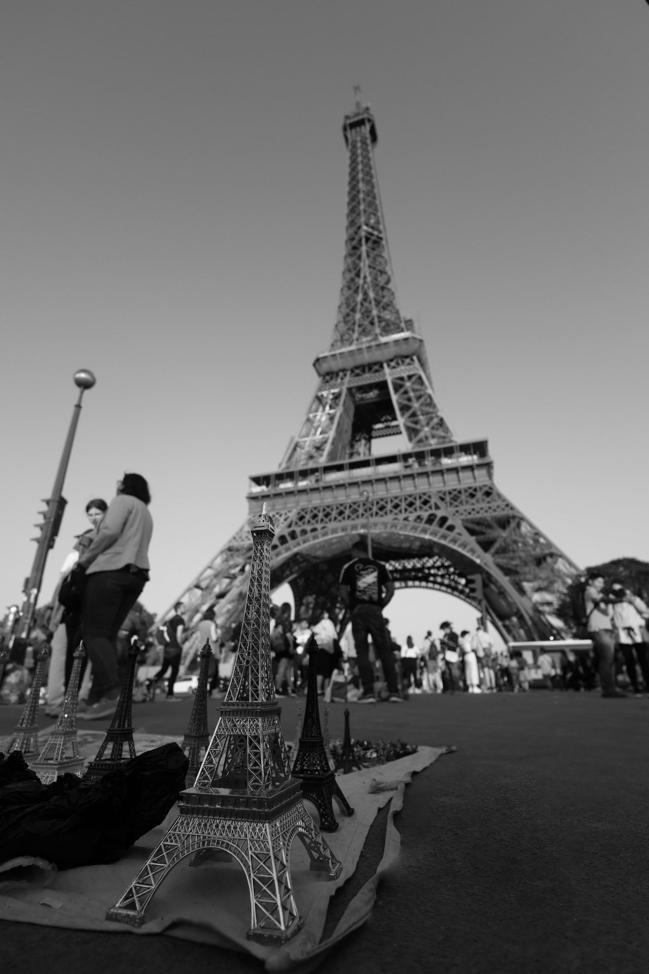 Le Cèdre Productions - Photo 3