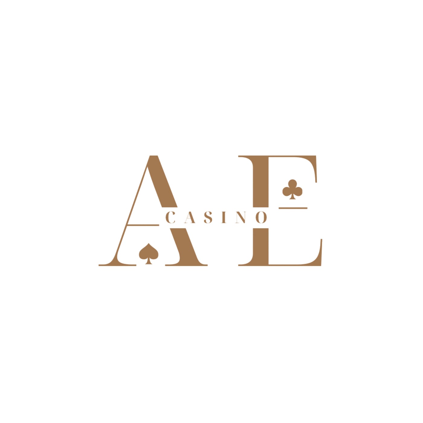 AE CASINO - Photo 1
