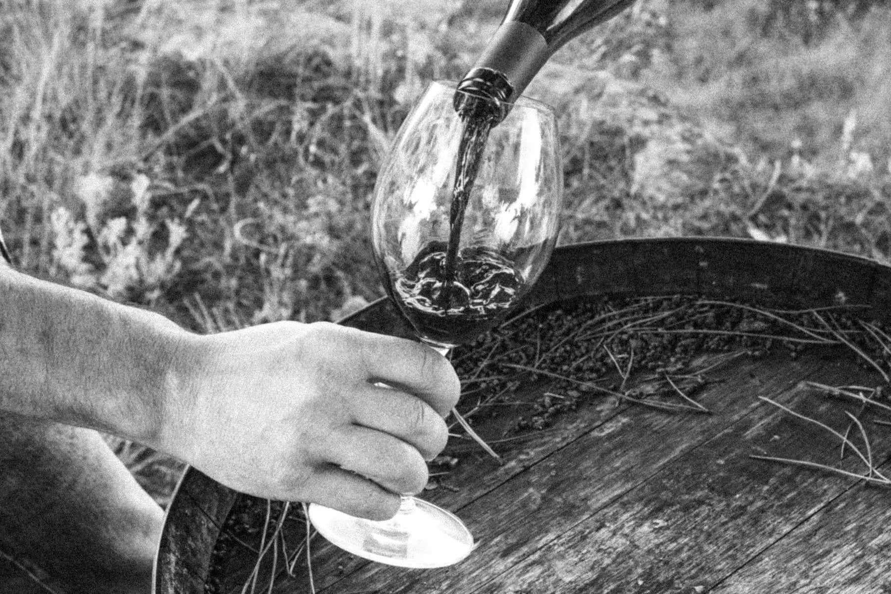 La Dame Des Vins - Photo 3