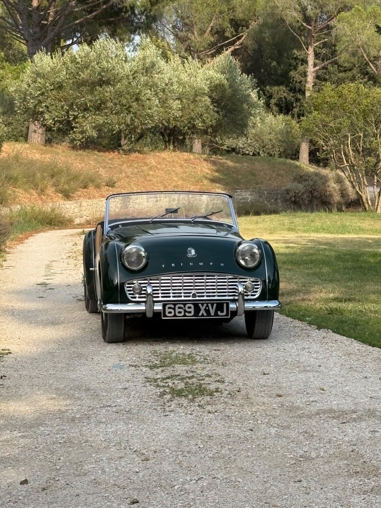 Charline - Mariage en Provence - Photo 2