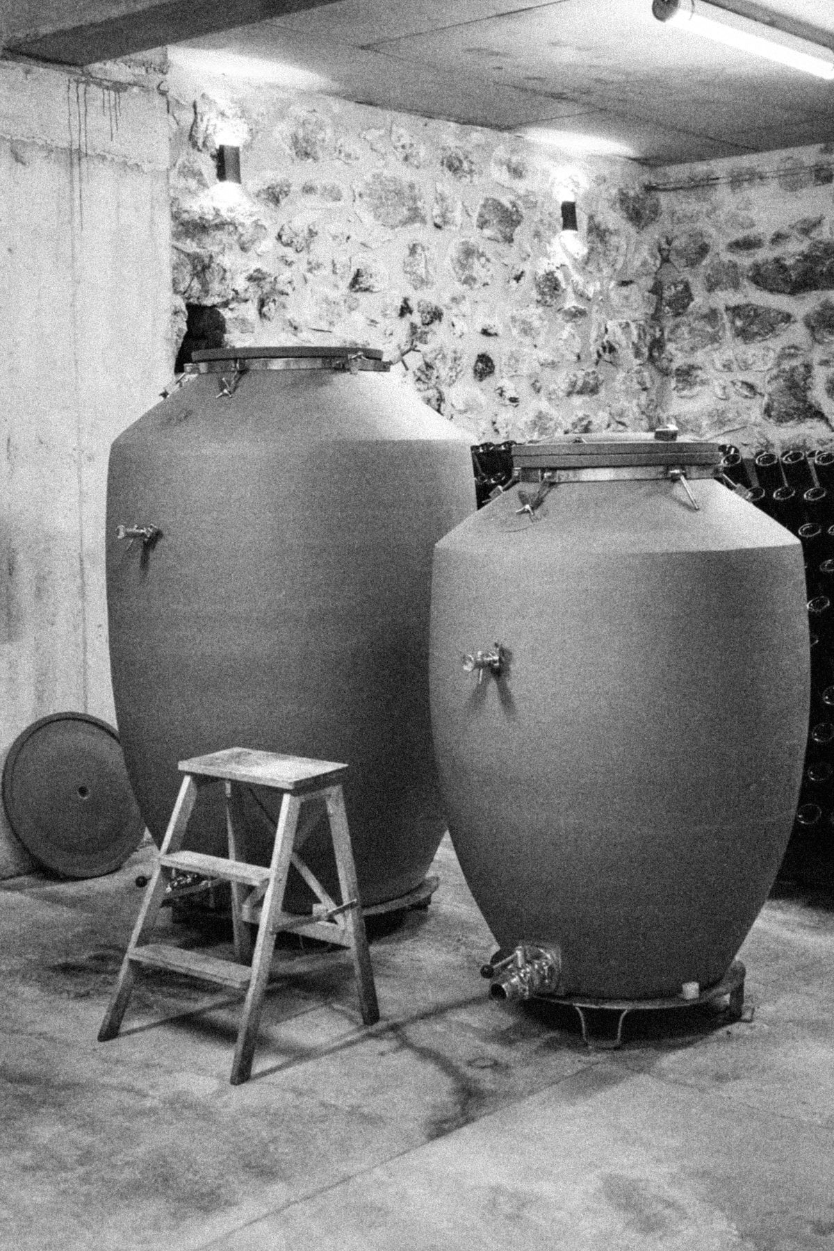 La Dame Des Vins - Photo 4
