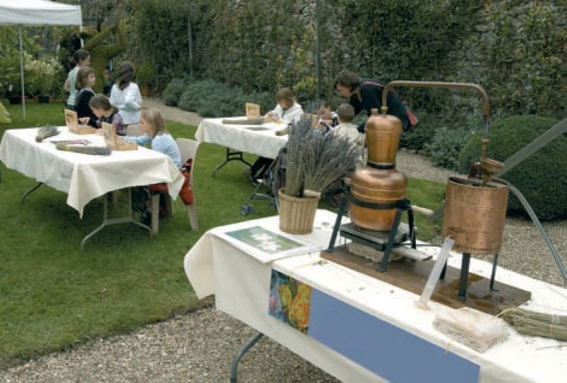 Luxury Ambiances - Photo 3