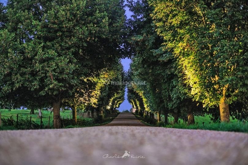 DOMAINE DE LA REVARDIERE - Photo 2